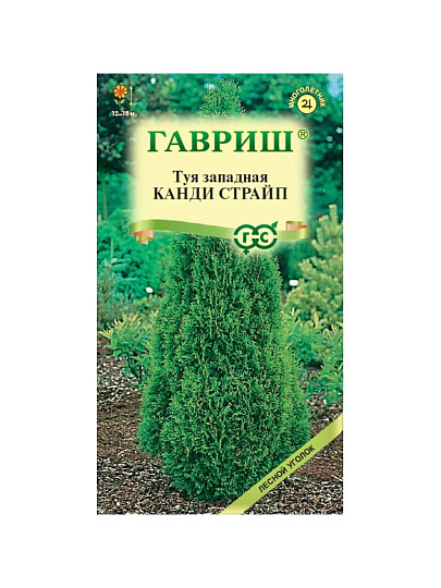 Семена Туя западная, Канди Страйп, 0.05 г, цветная упаковка, Гавриш