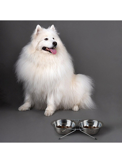 Миска для животных Рыжий кот, нержавеющая сталь, 0.3 л, двойная на подставке