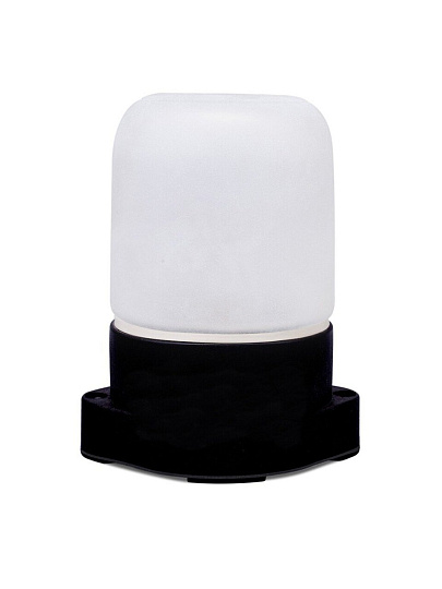 Светильник для бани, General Lighting Systems, GCF-SNP-60-E27-IP65-W,4377, 60 Вт, E27, на 1 лампочку, IP65, НПБ-400, КСС-001, 230В, пластик, черный, 437785