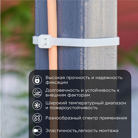Хомут стяж кабельн, 4.8х300 мм, нейлон, 100 шт, бел, Rexant, 07-1302