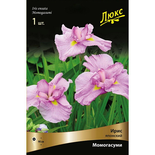 Луковицы Ирис японский, Момогасуми