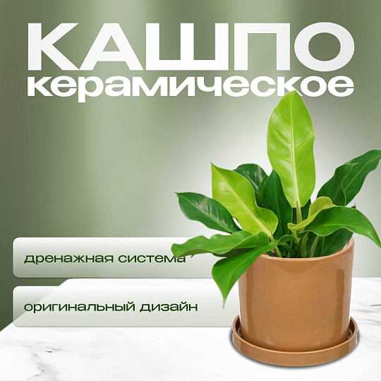 Горшок керамика, 21.5х21 см, для цветов, латте, Лидер №1, 4083