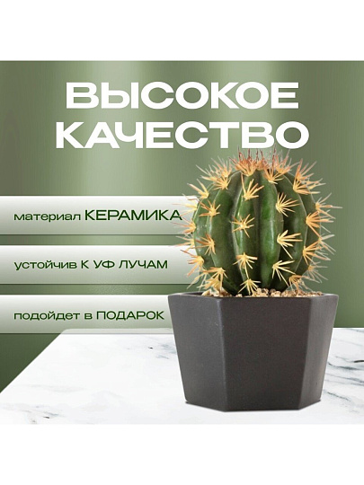 Кашпо керамика, 1.3 л, 15х11 см, шестигранник, черное, Эджес №3, 049737