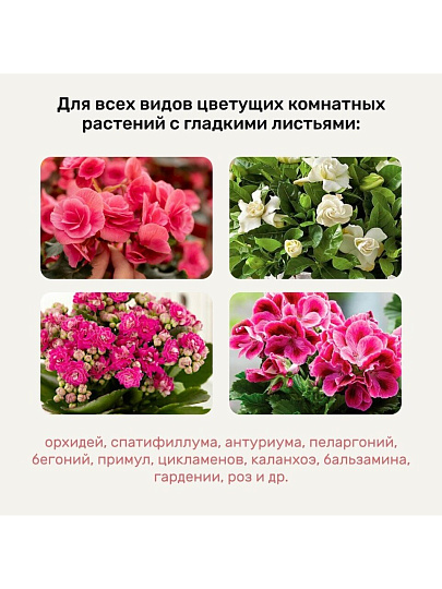 Удобрение Биомолекулы, для комнатных и балконных цветов, спрей, 500 мл, Удобряй!