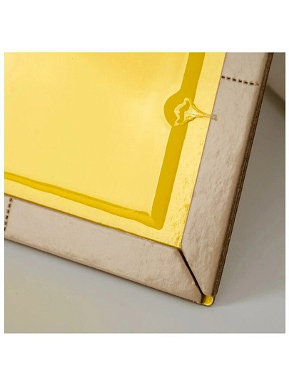 Родентицид Nadzor, от грызунов, 1 шт, ловушка клеевая книжка