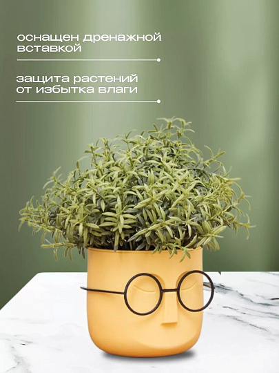 Кашпо пластик, 0.65 л, 11.5х10.5 см, со вставкой, банановое, Idea, Стив, М 3079