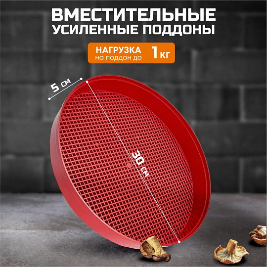 Сушилка для овощей, фруктов Василиса, СОЗ-520, 4 поддона, 520 Вт, регулируемая температура 30-70 °C
