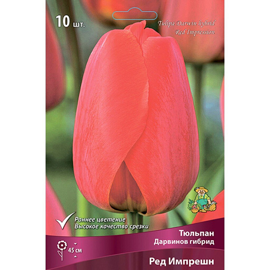Луковицы Тюльпан Дарвинов гибрид, Ред Импрешн, 11-12/К, 10 шт