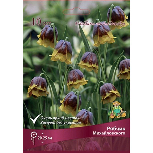 Луковицы Рябчик, Михайловского, 5+/К, 5 шт