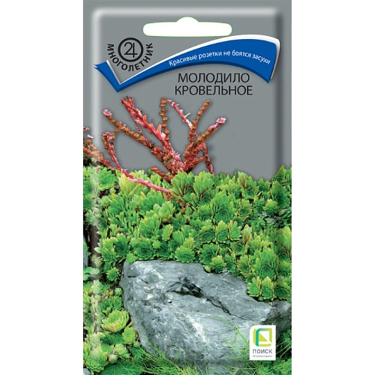 Семена Цветы, Молодило кровельное, 0.01 г, цветная упаковка, Поиск