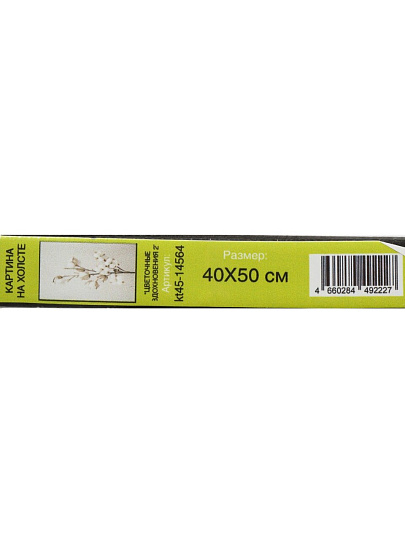 Картина холст, 40х50 см, Цветочные вдохновения 2, kt45-14564