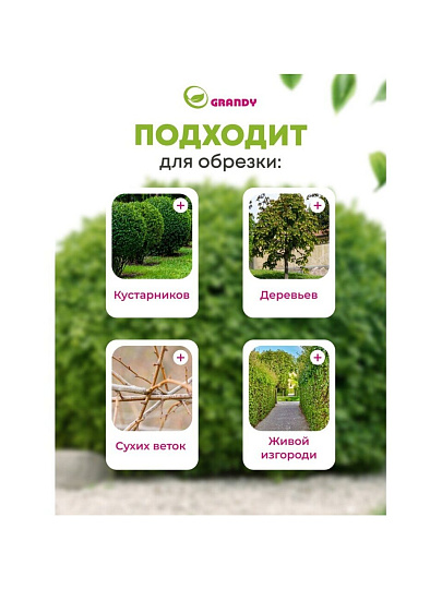 Сучкорез для веток, 740 мм, с наковальней, Grandy, телескопическая штанга, рукоятка алюминий, 402518