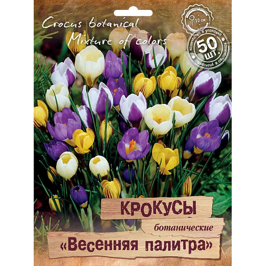 Луковицы Крокус ботанический, Весенняя палитра, 5+,5-7/ПрУп, 50 шт