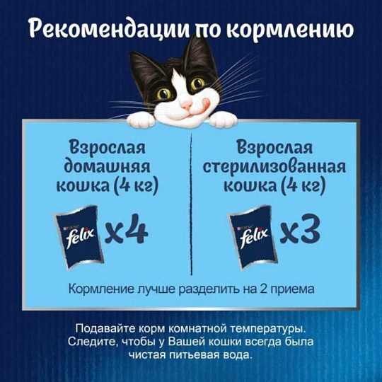 Корм для животных Феликс, Природа вкуса, 75 г, для взрослых кошек, кусочки в соусе, лосось, пауч, 12512724