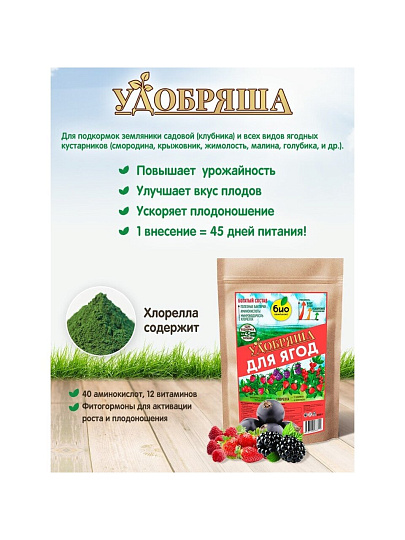 Удобрение Удобряша, для ягод, органическое, гранулы, 900 г, Био-комплекс