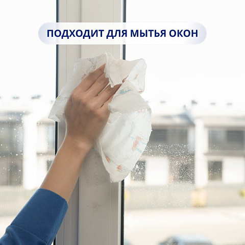 Полотенце бумажное 2 слоя, 2 рулона, Zewa