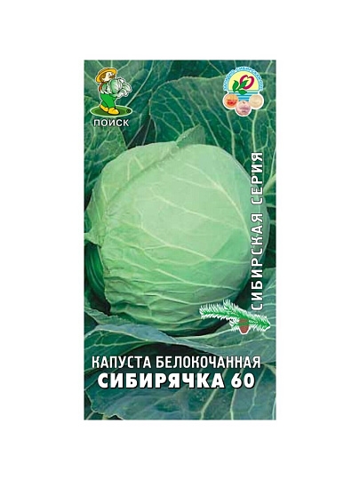 Семена Капуста белокочанная, Сибирячка 60, 0.5 г, Сибирская, цветная упаковка, Поиск