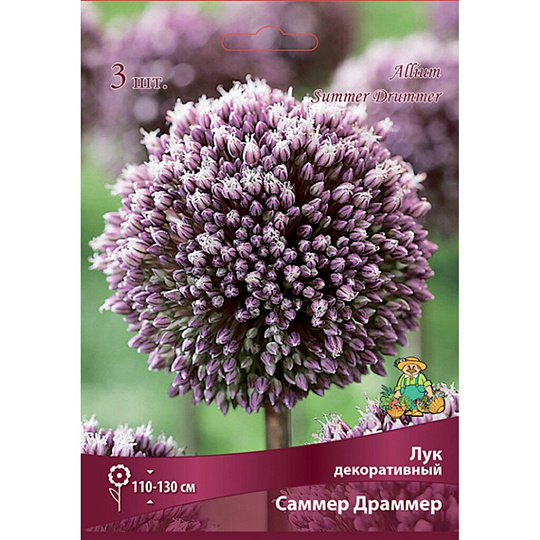 Луковицы Лук декоративный, Саммер Драммер, 10-12/К, 3 шт