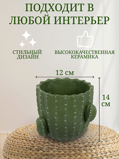 Кашпо керамика, 1 л, 14х12х14 см, Кактус, Y4-3081