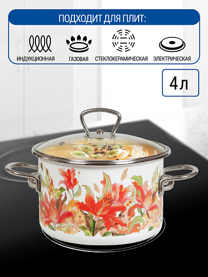 Кастрюля эмалированная сталь, 4 л, крышка стекло, цилиндрическая, Vitross, Lilianna, 1SD205S, индукция