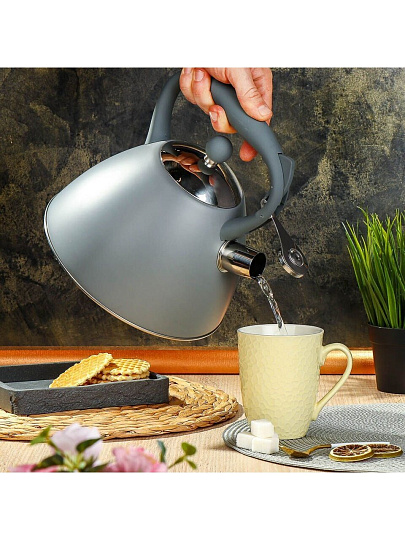 Чайник нержавеющая сталь, 2.7 л, со свистком, ручка бакелитовая, с силиконовым покрытием, Daniks, индукция, PR-2202