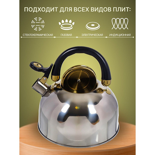 Чайник нержавеющая сталь, 2.7 л, со свистком, зеркальный, ручка бакелитовая, Daniks, M-001