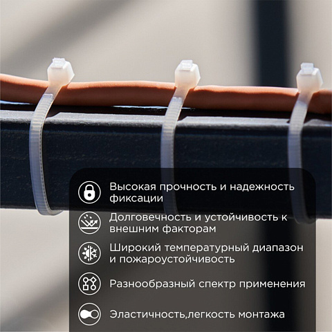 Хомут стяж кабельн, 2.5х120 мм, нейлон, 100 шт, бел, Rexant, 07-0120
