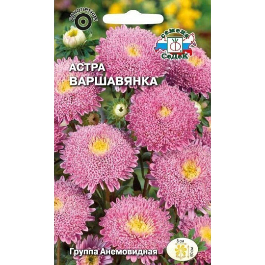 Семена Цветы, Астра, Варшавянка, 0.2 г, цветная упаковка, Седек