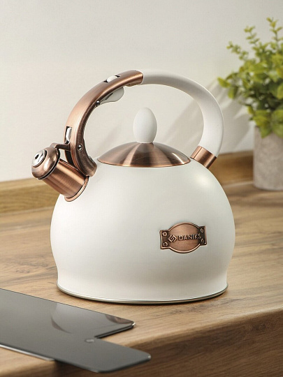 Чайник нержавеющая сталь, 2.5 л, со свистком, матовый, Daniks, индукция, бежевый, PR-2302