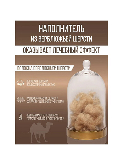 Одеяло 2-спальное, 172х205 см, Верблюжья шерсть, 300 г/м2, всесезонное, чехол хлопок, кант, Verossa