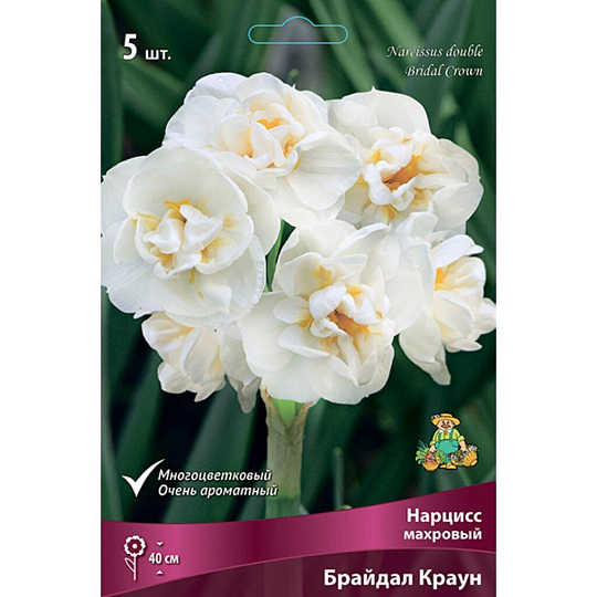 Луковицы Нарцисс махровый, Брайдал Краун, 12-14/К, 5 шт