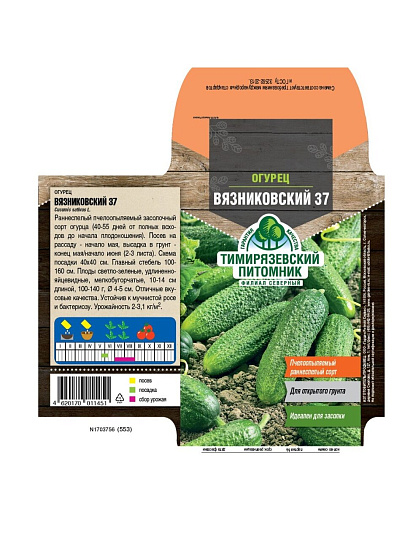 Семена Огурец, Вязниковский, 0.5 г, цветная упаковка, Тимирязевский питомник
