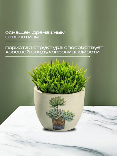 Кашпо керамика, 0.2 л, 6.5х8х6.5 см, в ассортименте, Кактусы, Y3-1295/318493
