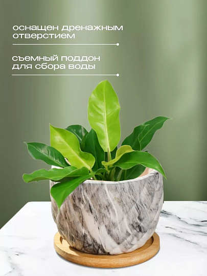 Горшок керамика, 0.2 л, 8.5х8.5х7 см, для кактусов и суккулентов, Мини, Y4-5358