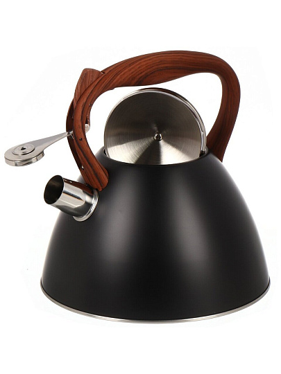 Чайник нержавеющая сталь, 2.7 л, со свистком, ручка бакелитовая, с силиконовым покрытием, Daniks, индукция, PR-2204