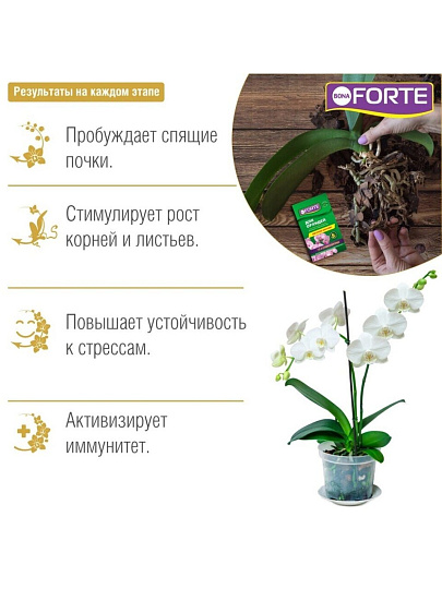 Удобрение Здоровье, для орхидей, минеральное, жидкость, 10 мл, Bona Forte
