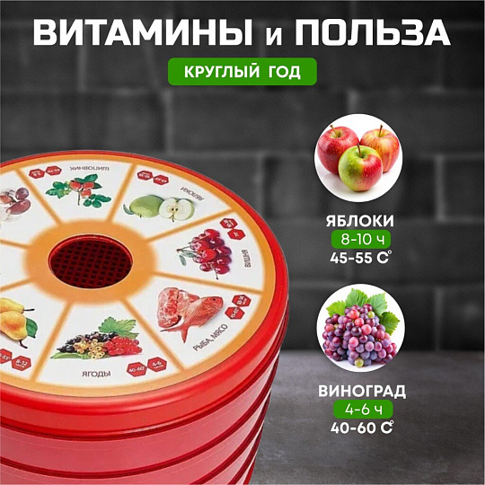 Сушилка для овощей, фруктов Василиса, СОЗ-520, 4 поддона, 520 Вт, регулируемая температура 30-70 °C