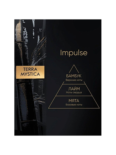 Аромадиффузор Breesal, 100 мл, Terra Mystica «Impulse» Импульс, BR0006