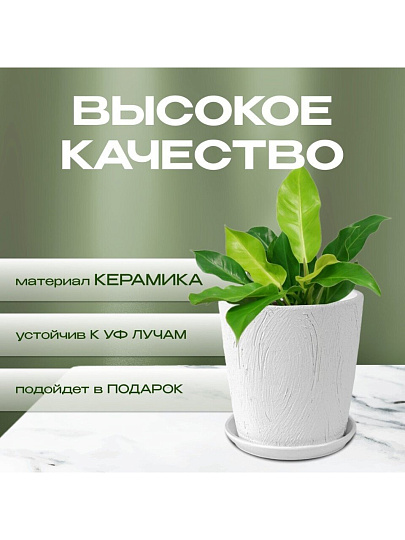 Горшок керамика, 0.9 л, 12х12 см, конус, белый, Короед №2, 004043