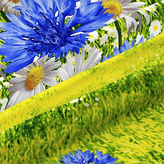 Постельное белье 2-спальное, простыня 200х216 см, 2 наволочки 70х70 см, пододеяльник 175х215 см, Василиса, бязь, Васильковое поле 4268/1