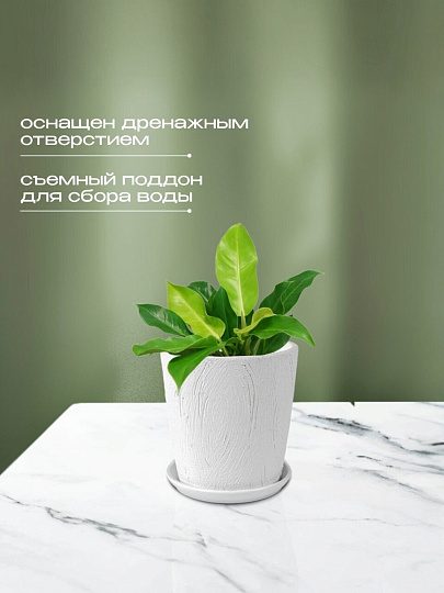 Горшок керамика, 0.9 л, 12х12 см, конус, белый, Короед №2, 004043