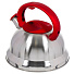 Чайник нержавеющая сталь, 2.8 л, со свистком, матовый, ручка с силиконовым покрытием, Daniks, красный, MSY-013R - фото 3