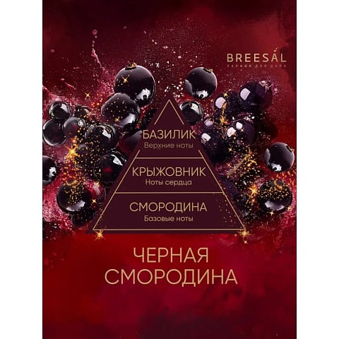 Аромадиффузор Breesal, 70 мл, Passion Черная смородина, BR0011