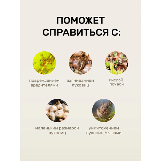 Удобрение для лука и чеснока, 1 кг, Удобряй!