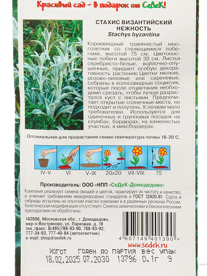 Семена Цветы, Стахис, Нежность, цветная упаковка, Седек