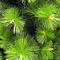 Елка новогодняя напольная, 210 см, Крымская, сосна, зеленая, хвоя леска, 04210 - фото 2