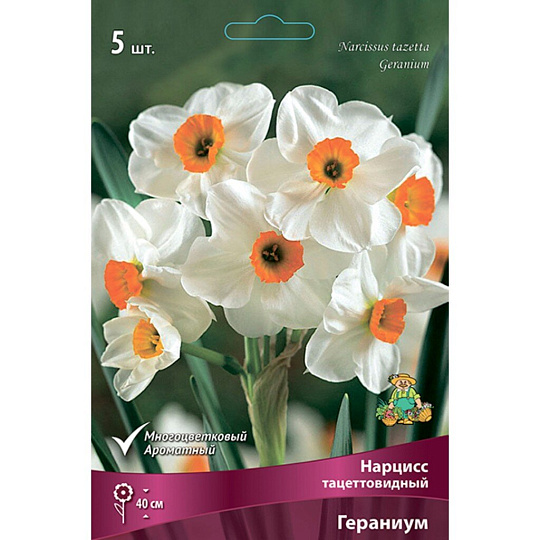Луковицы Нарцисс тацеттовидный, Гераниум, 12-14/К, 5 шт