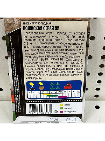 Семена Тыква, Волжская, 2 г, серая, ранняя, цветная упаковка, Тимирязевский питомник
