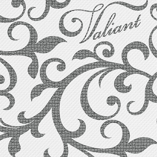 Кофр для хранения, 100х50х15 см, с молнией, с ручкой, подкроватный, серый, Valiant, CG-CB-L