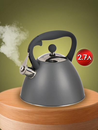 Чайник нержавеющая сталь, 2.7 л, со свистком, ручка бакелитовая, с силиконовым покрытием, Daniks, индукция, PR-2202